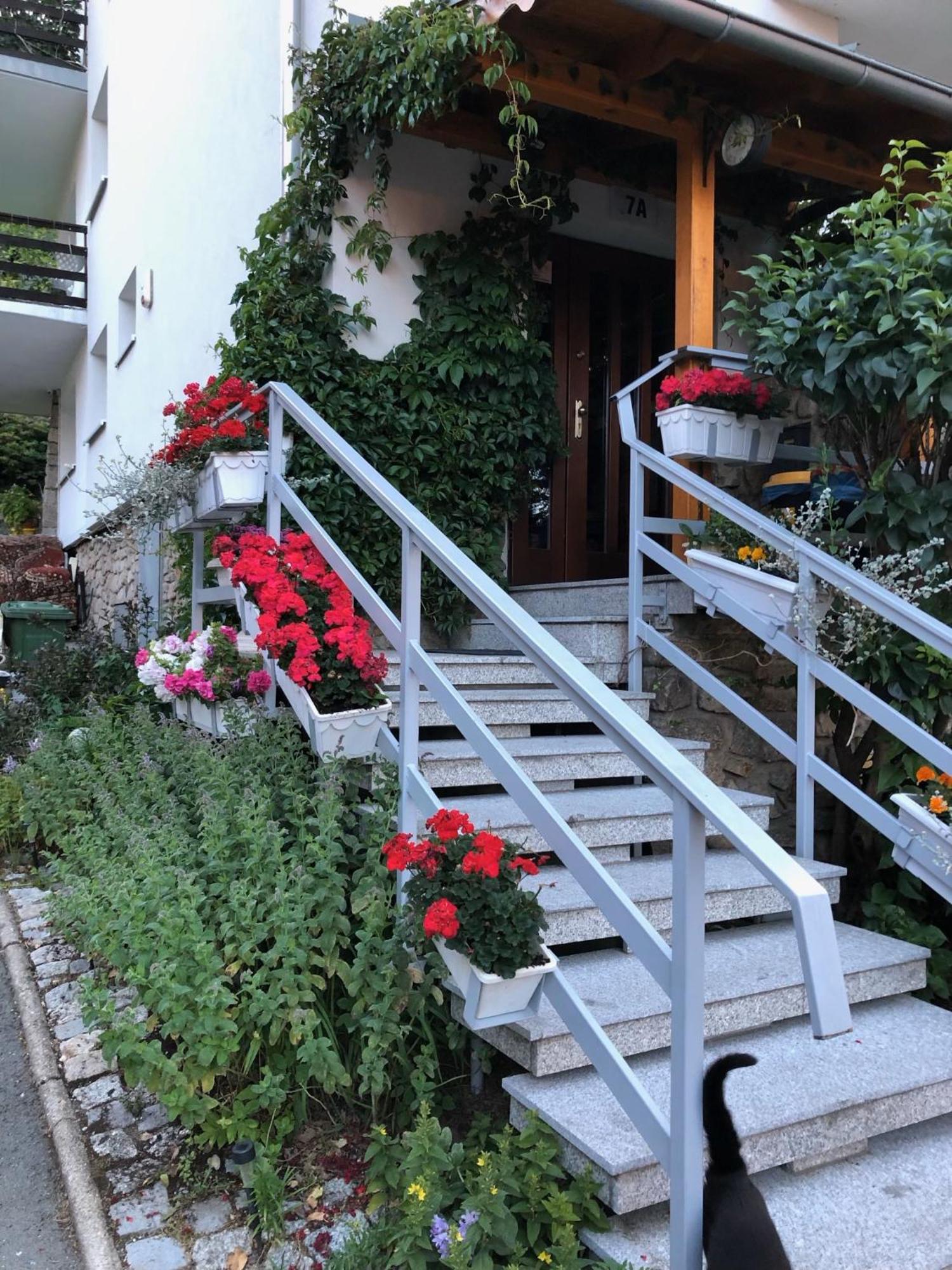 Azyl Karpacz - Kazdy Pokoj Z Wlasna Kuchnia I Lazienka Exterior photo